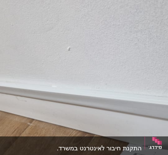 כבל רשת.